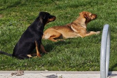 IMG_20250320_135720