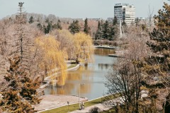 IMG_20250322_113001