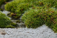 IMG_20250419_162820
