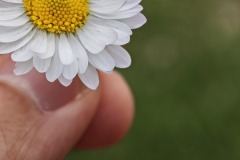 IMG_20250419_164501 IMG_20250419_164501