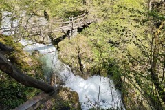 IMG_20250420_121136