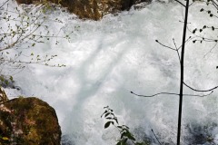 IMG_20250420_121139