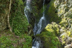 IMG_20250420_121155 IMG_20250420_121155