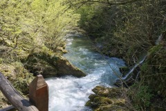 IMG_20250420_121414