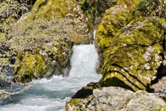 IMG_20250420_121521