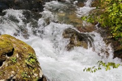 IMG_20250420_122103