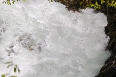 IMG_20250420_122106