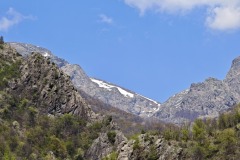 IMG_20250420_131810