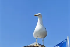 1784035509143