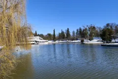 IMG_20260219_111030-copy