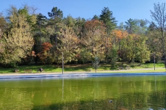 IMG_20201101_142136