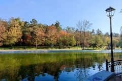 IMG_20201101_142144