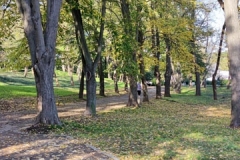 IMG_20201101_143203