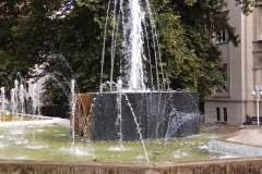 DSC_0017