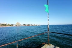 IMG_20220722_182745