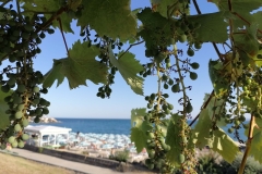 IMG_20220722_184506