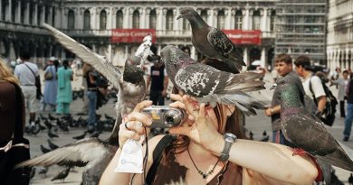 © Martin Parr Magnum Photos Rocket Gallery (8) – Кредит: © Martin Parr / Magnum Photos / Rocket Gallery - Венеция, Италия, 2005.