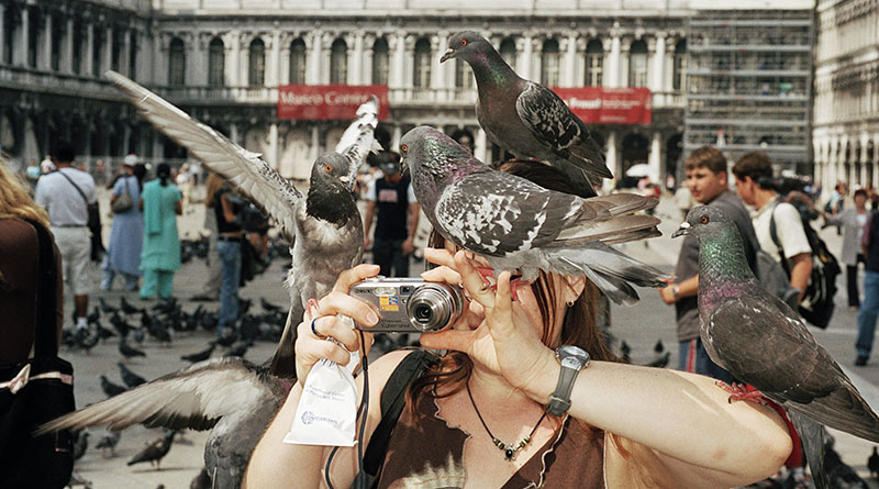 © Martin Parr Magnum Photos Rocket Gallery (8) – Кредит: © Martin Parr / Magnum Photos / Rocket Gallery - Венеция, Италия, 2005.