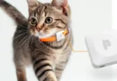 PurrSong представи LavvieTAG2 – интелигентен тракер за здравето и безопасността на домашни любимци
