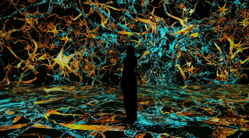 VIDENIE стартира имерсивната програма „Conditions of Reality“ с международни и български артисти в София