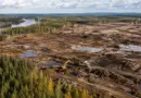 Google изсече незаконно 250 000 дървета във Финландия за изграждането на AI център за данни Google изсече незаконно 250 000 дървета във Финландия за изграждането на AI център за данни